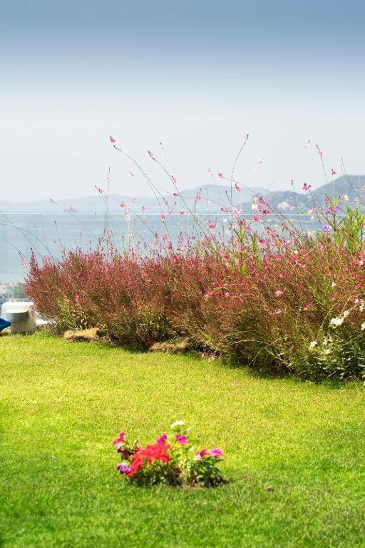 Bodrum Horizon Villas 외부 사진